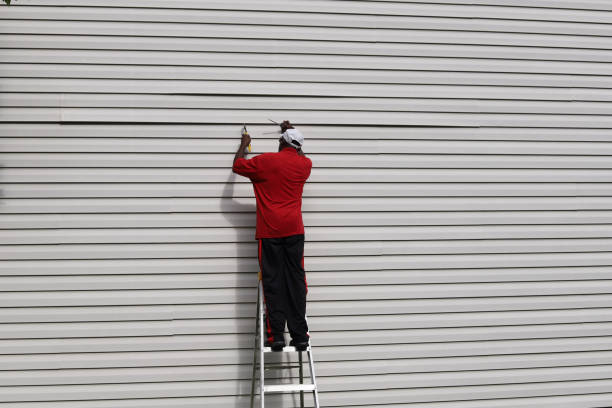 Best Vinyl Siding Installation  in Williamsburg, KY