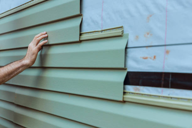 Professional Siding in Williamsburg, KY